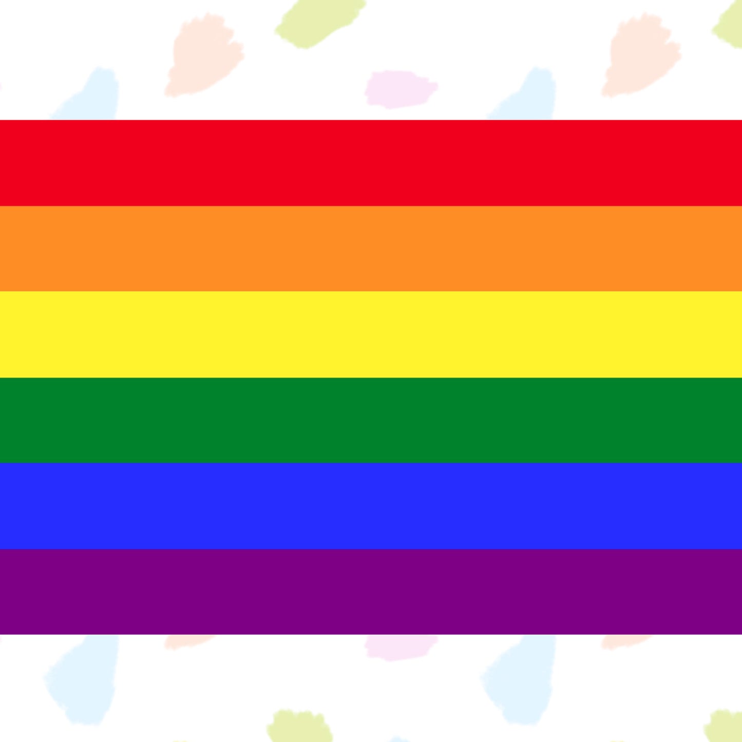 Rainbow Traditional Pride Flag