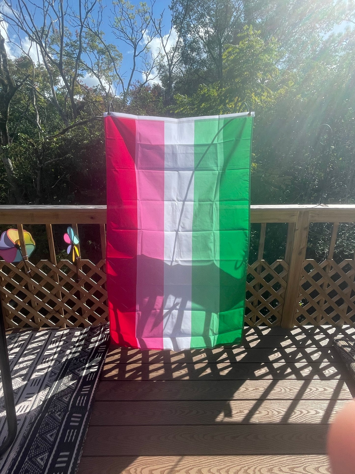 Abrosexual Pride Flag