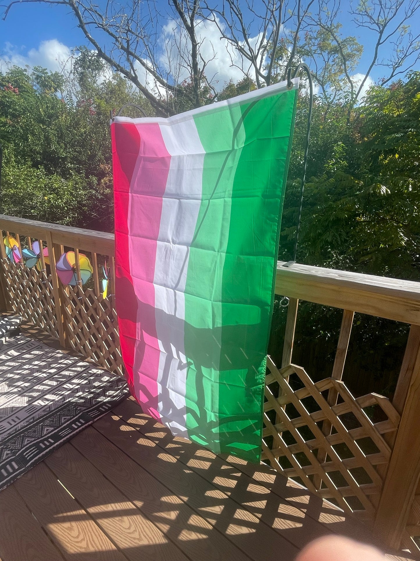 Abrosexual Pride Flag