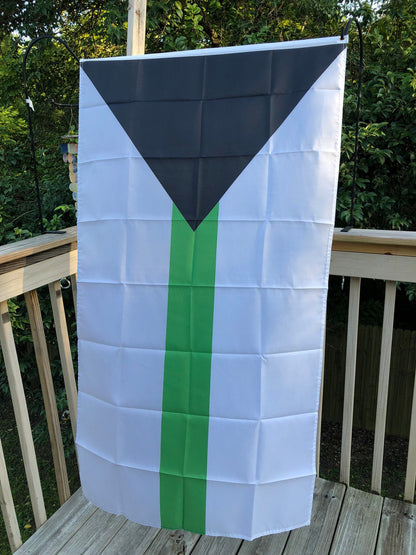 LGBTQA Demiromantic Pride Flag