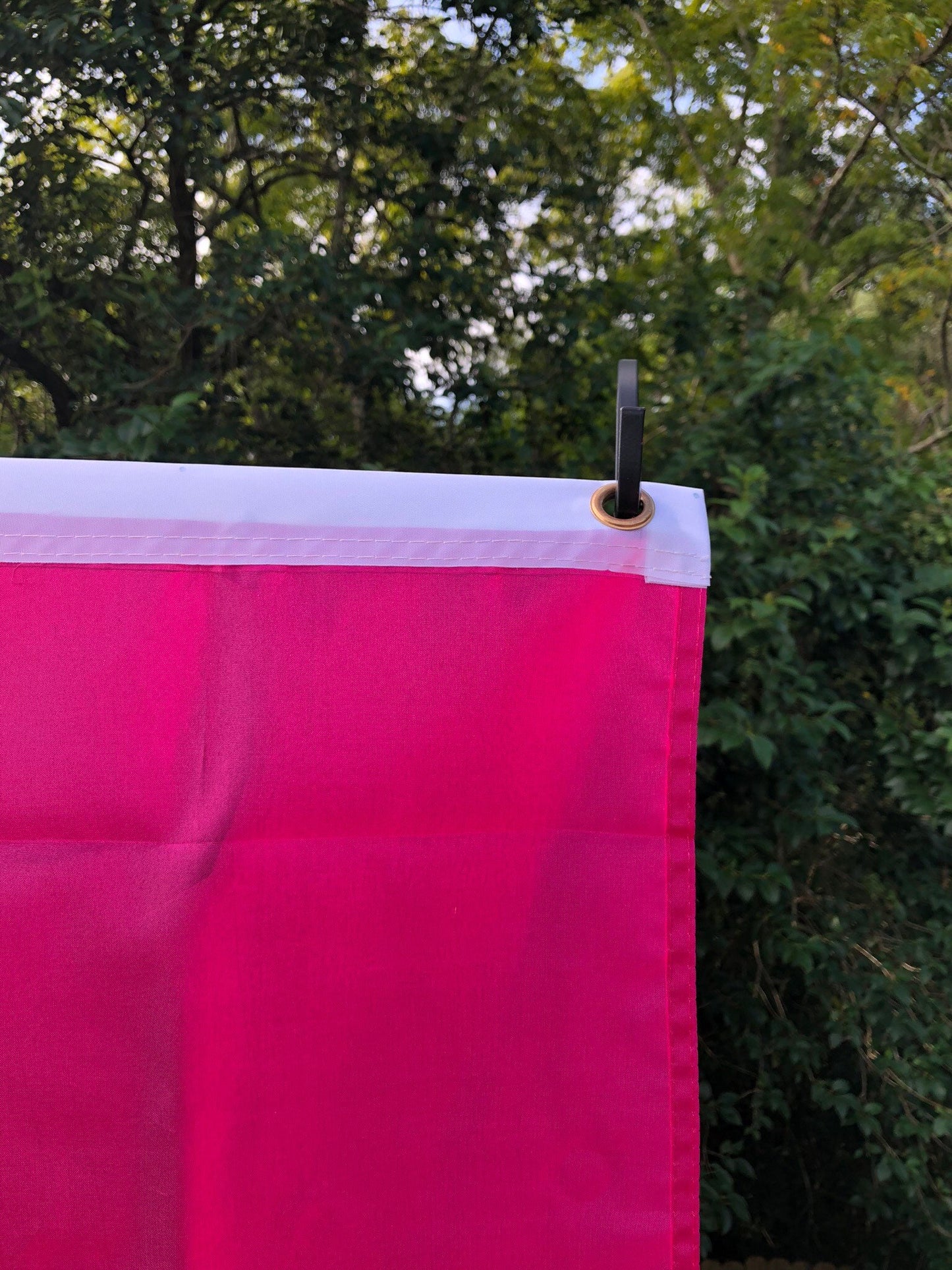 LGBTQA Pride Polysexual Flag