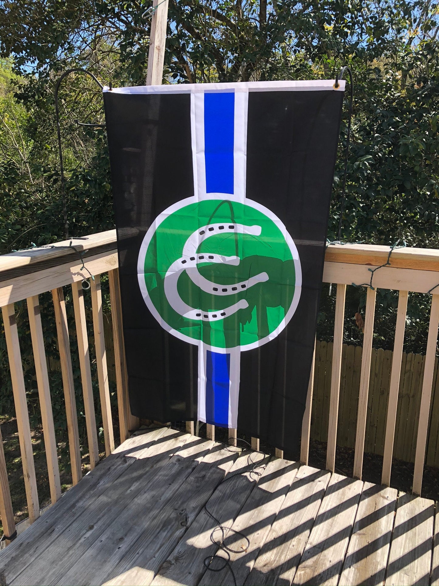 LGBTQA Pony Pride Flag