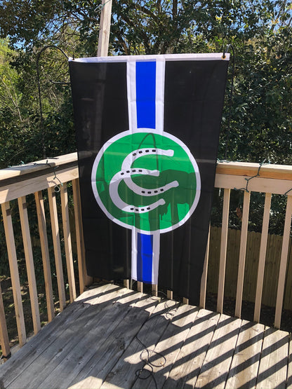 LGBTQA Pony Pride Flag