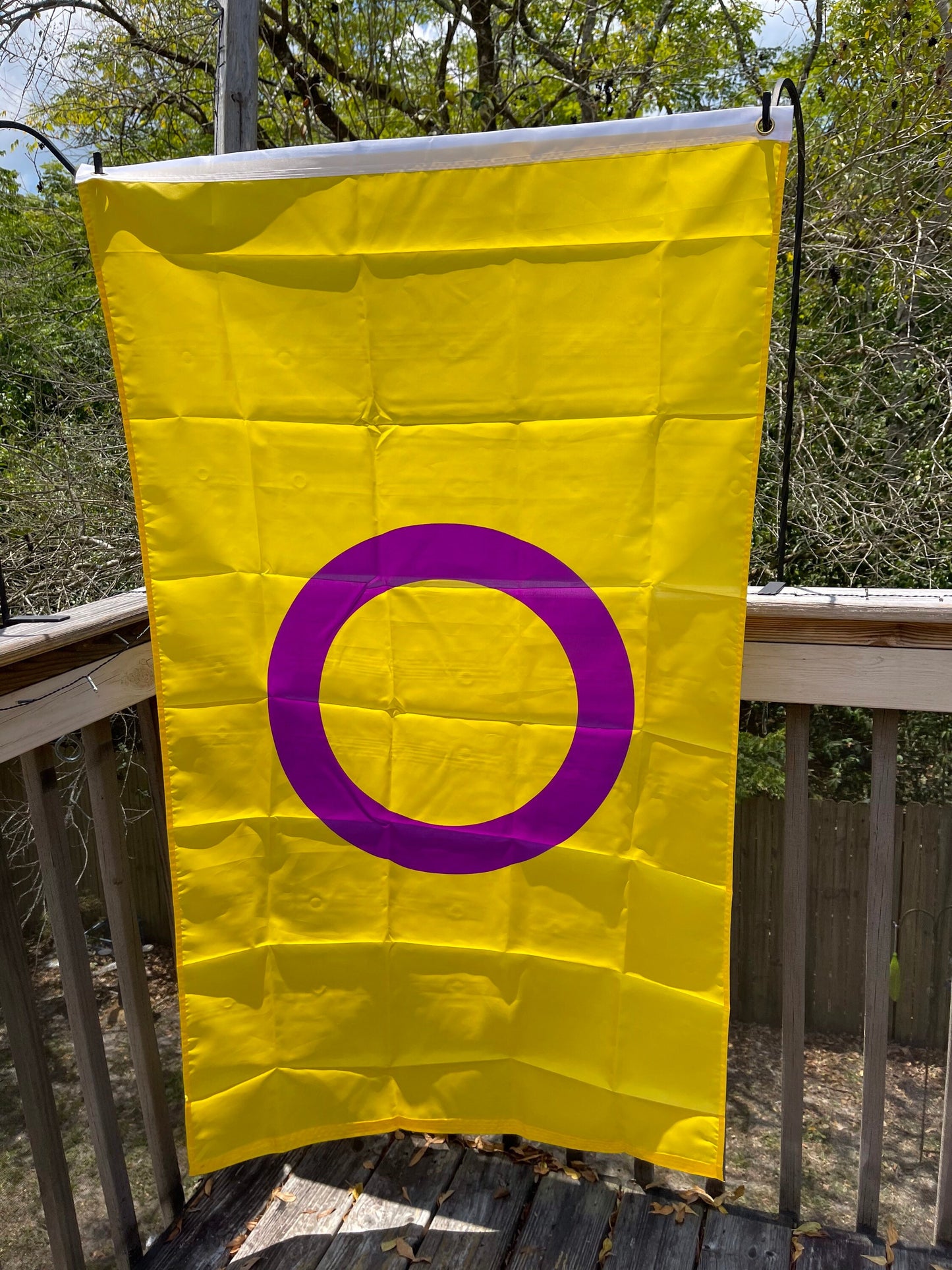 LGBTQA Intersex Pride Flag