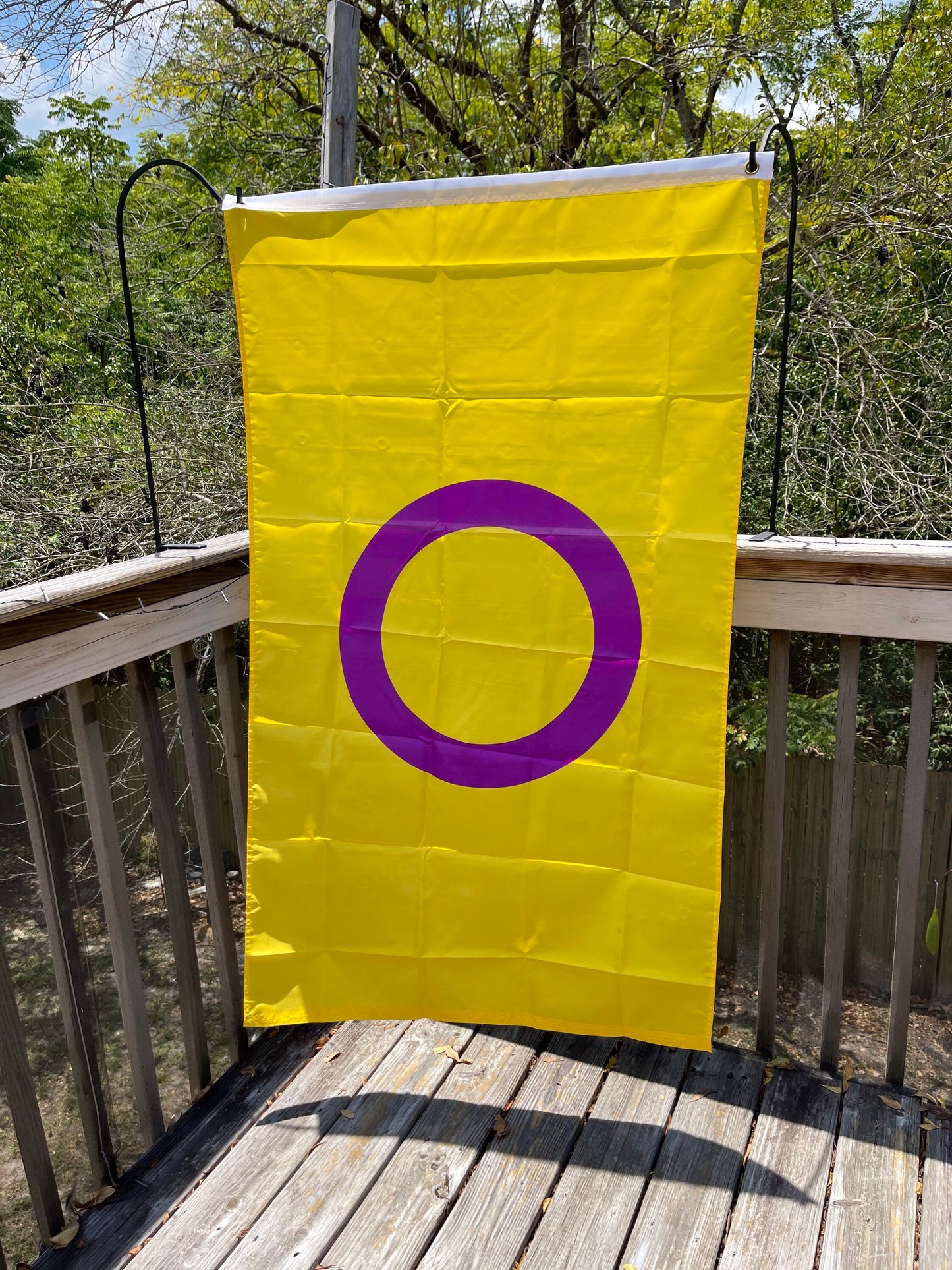 LGBTQA Intersex Pride Flag