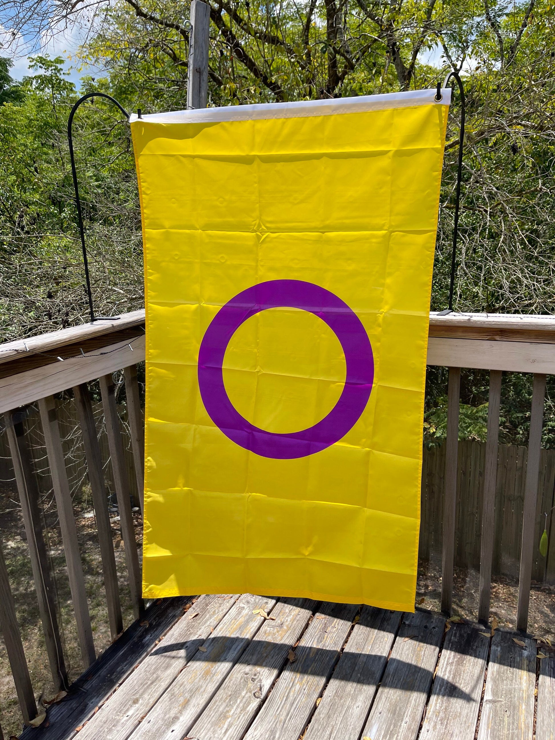 LGBTQA Intersex Pride Flag