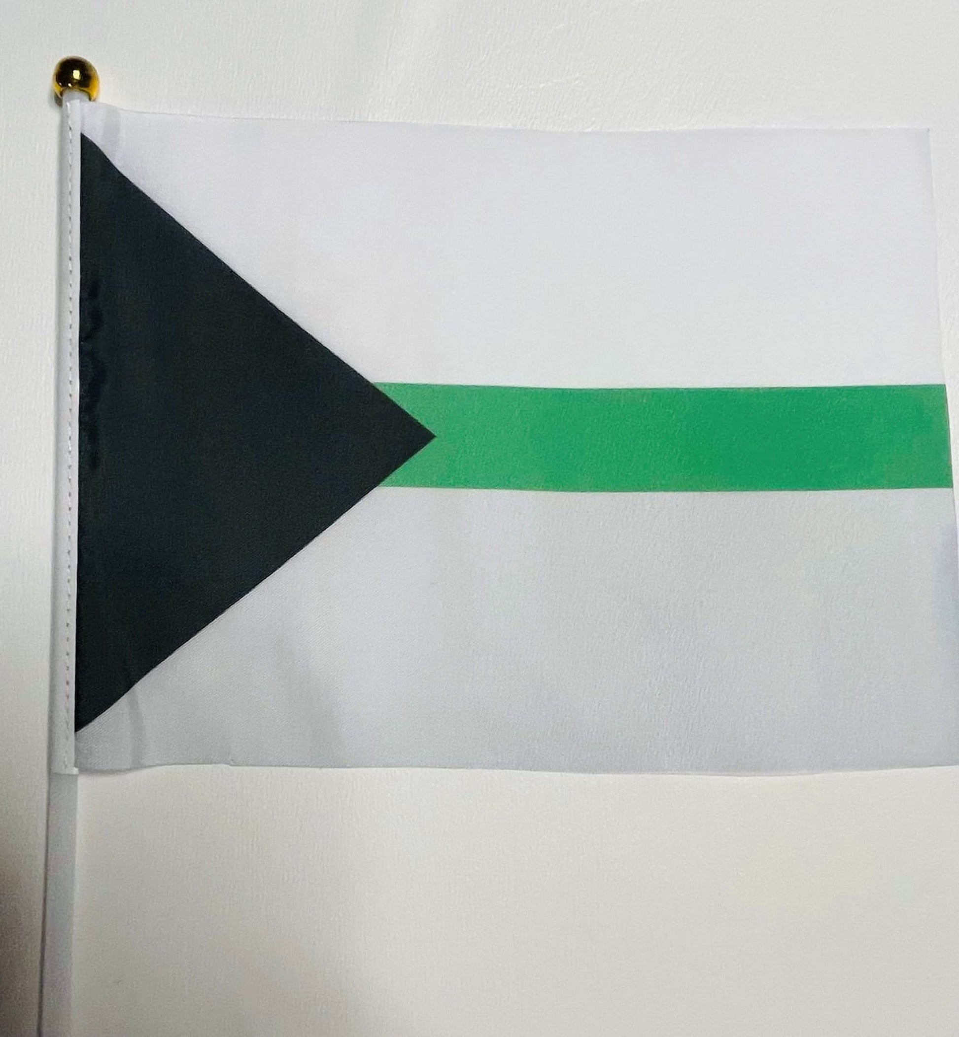 LGBTQA Demiromantic Pride Starter Kit