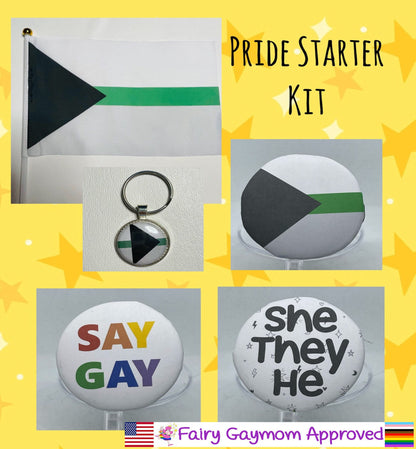 LGBTQA Demiromantic Pride Starter Kit