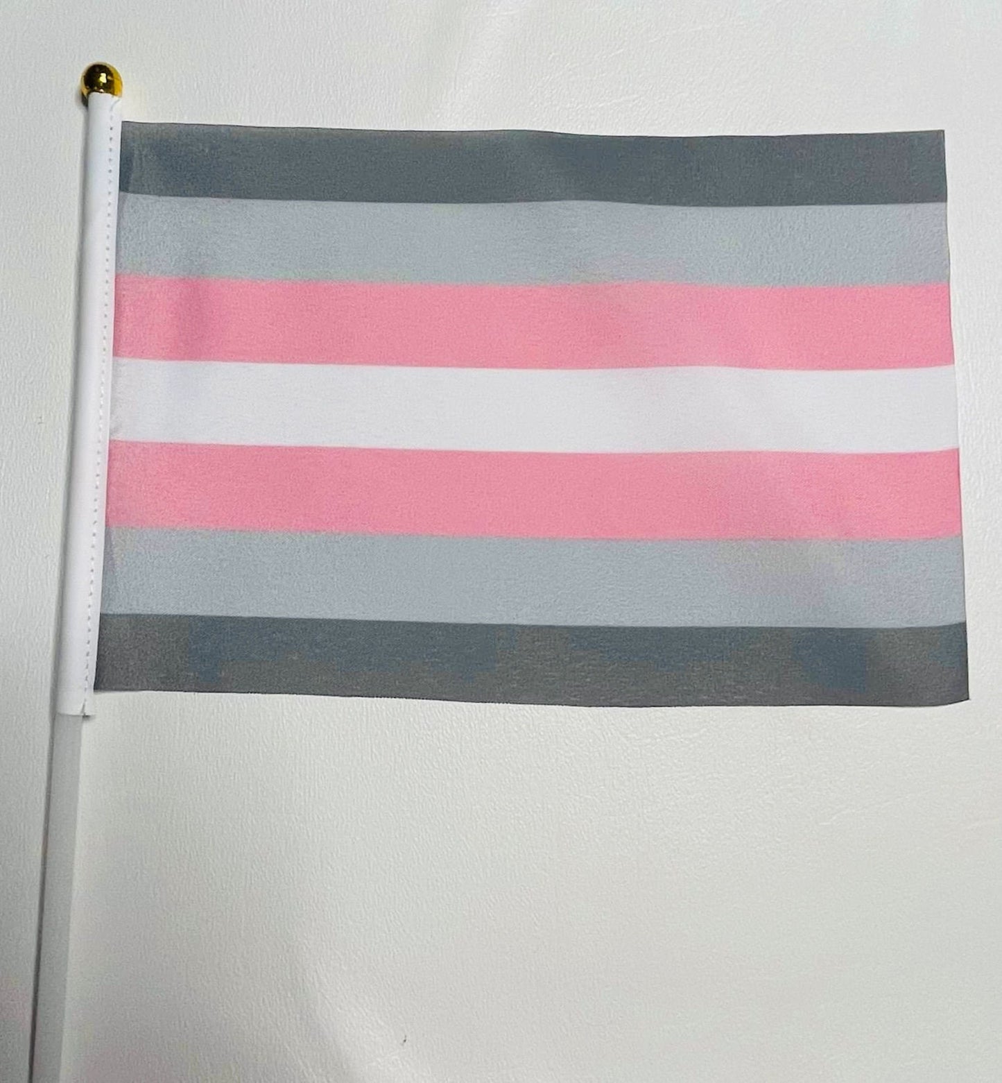 LGBTQA Demigirl Pride Starter Kit