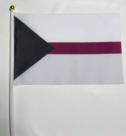 LGBTQA Demisexual Pride Starter Kit