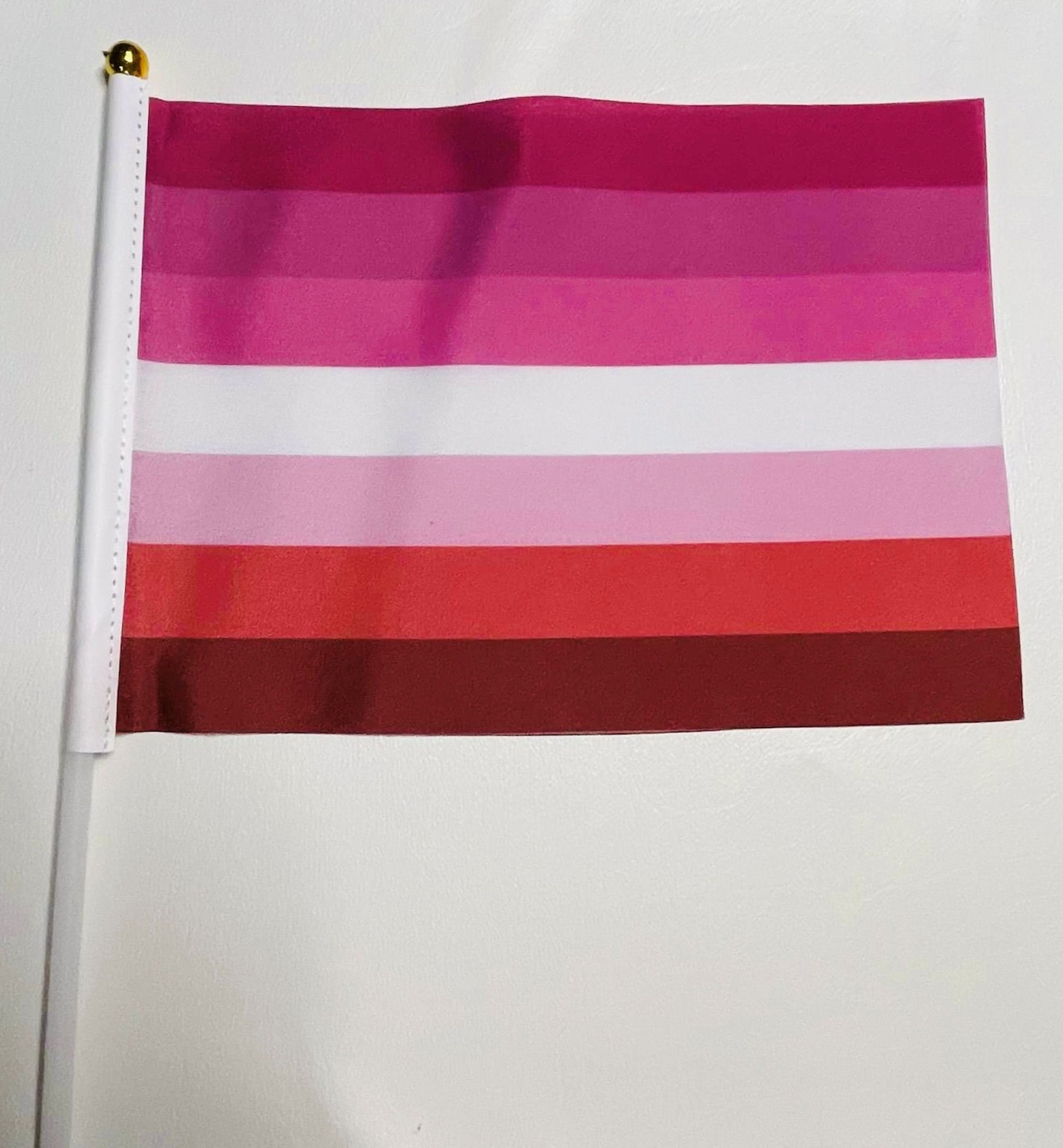 LGBTQA Pink Lesbian Pride Starter Kit