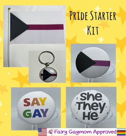 LGBTQA Demisexual Pride Starter Kit
