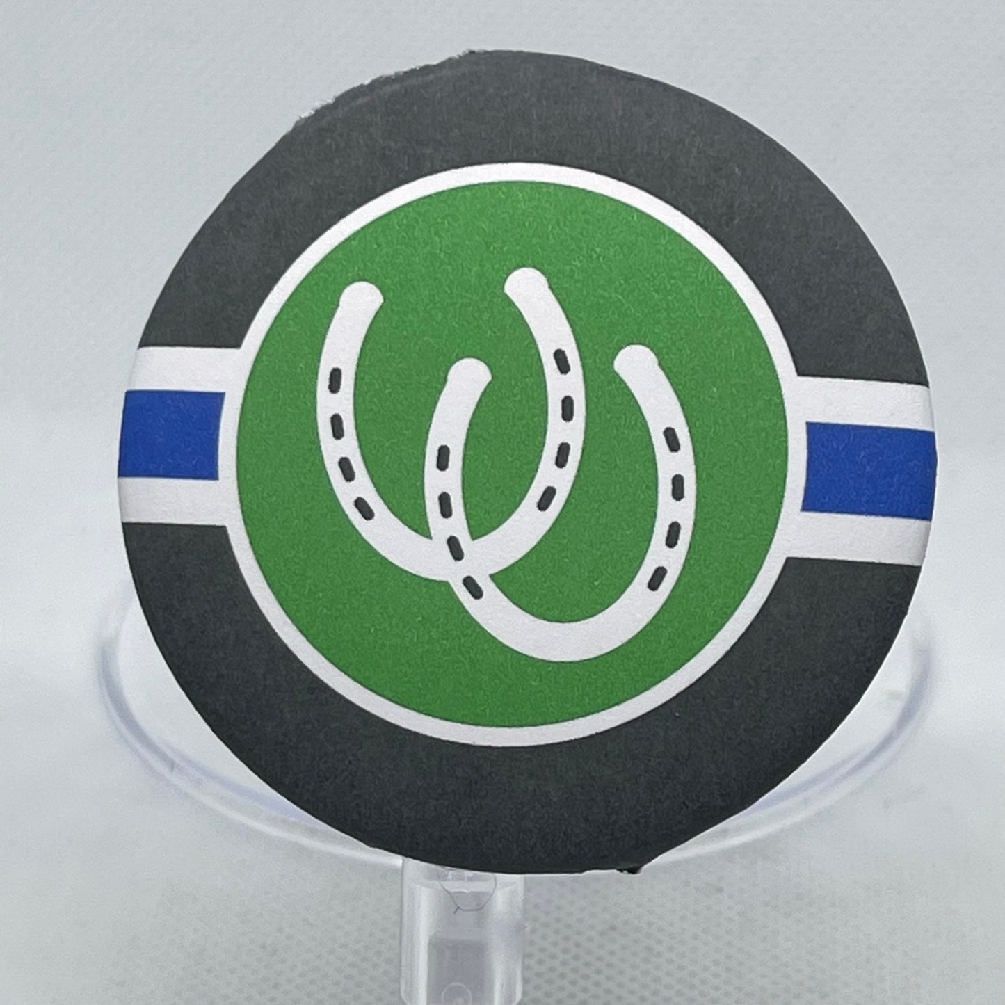 LGBTQA Pony Pride Flag